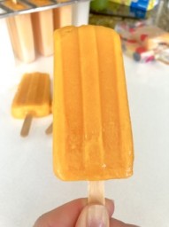 frozen fruit pops